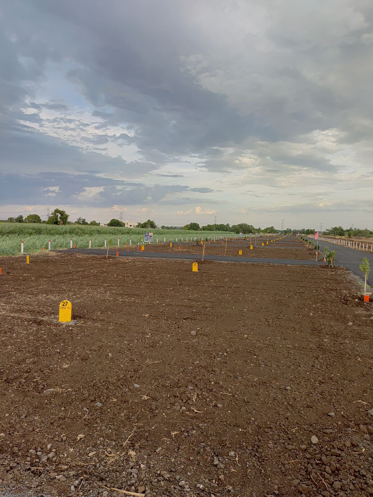 Plotted layout road
