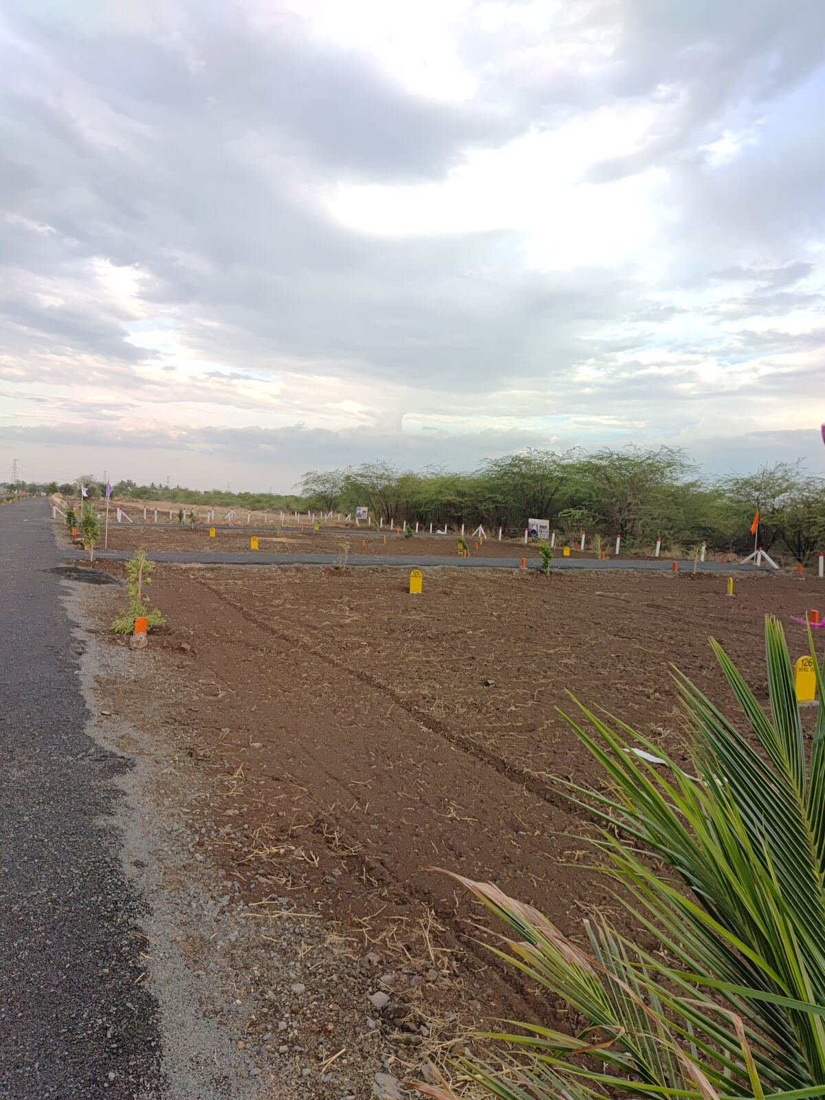 Premium residential plots with wide roads at Ghanoba Developers