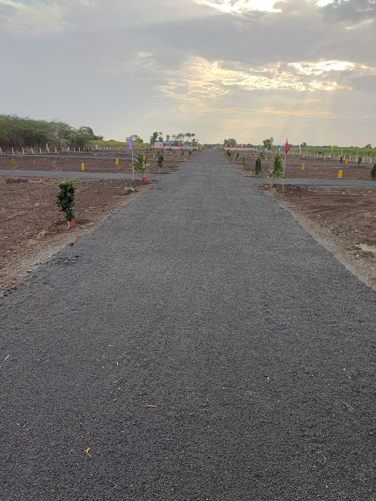 Sunrise Layout plots